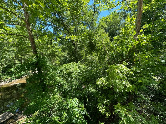 Image for Prince William County , VA - Sale of Tax Delinquent Real Estate