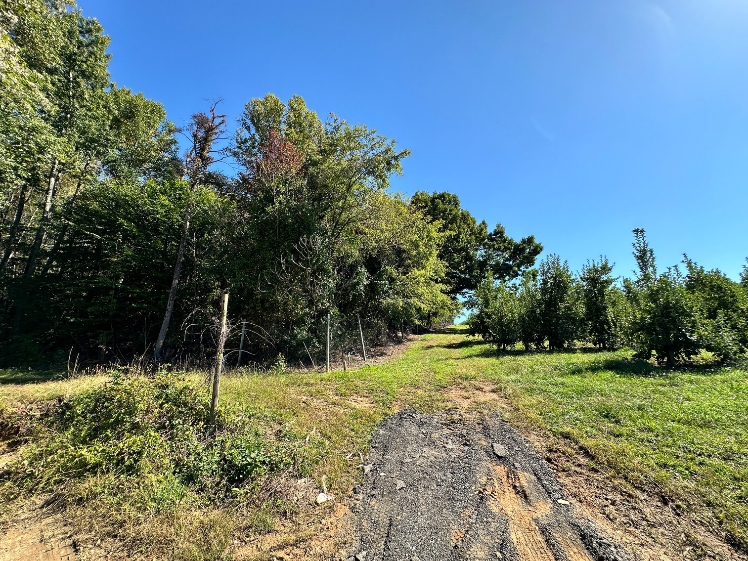 Image for 33.25 Acres with 5 Division Rights in Albemarle County. 5885 Brush Mountain Trl