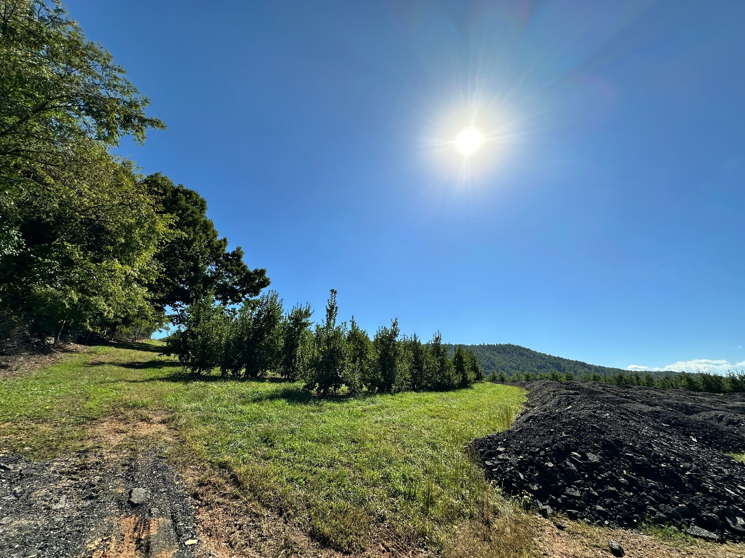 Image for 33.25 Acres with 5 Division Rights in Albemarle County. 5885 Brush Mountain Trl