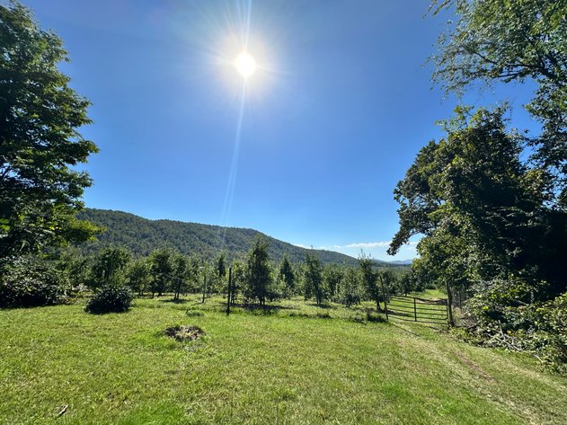 Image for 33.25 Acres with 5 Division Rights in Albemarle County. 5885 Brush Mountain Trl