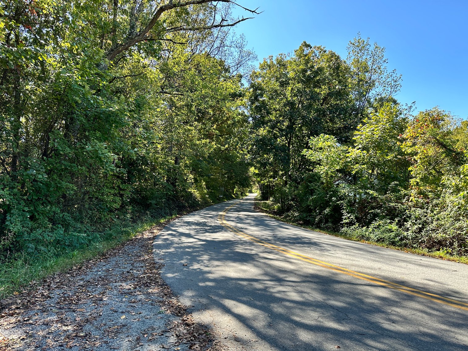 Image for 33.25 Acres with 5 Division Rights in Albemarle County. 5885 Brush Mountain Trl