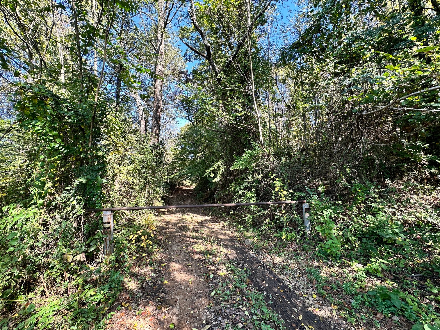 Image for 33.25 Acres with 5 Division Rights in Albemarle County. 5885 Brush Mountain Trl