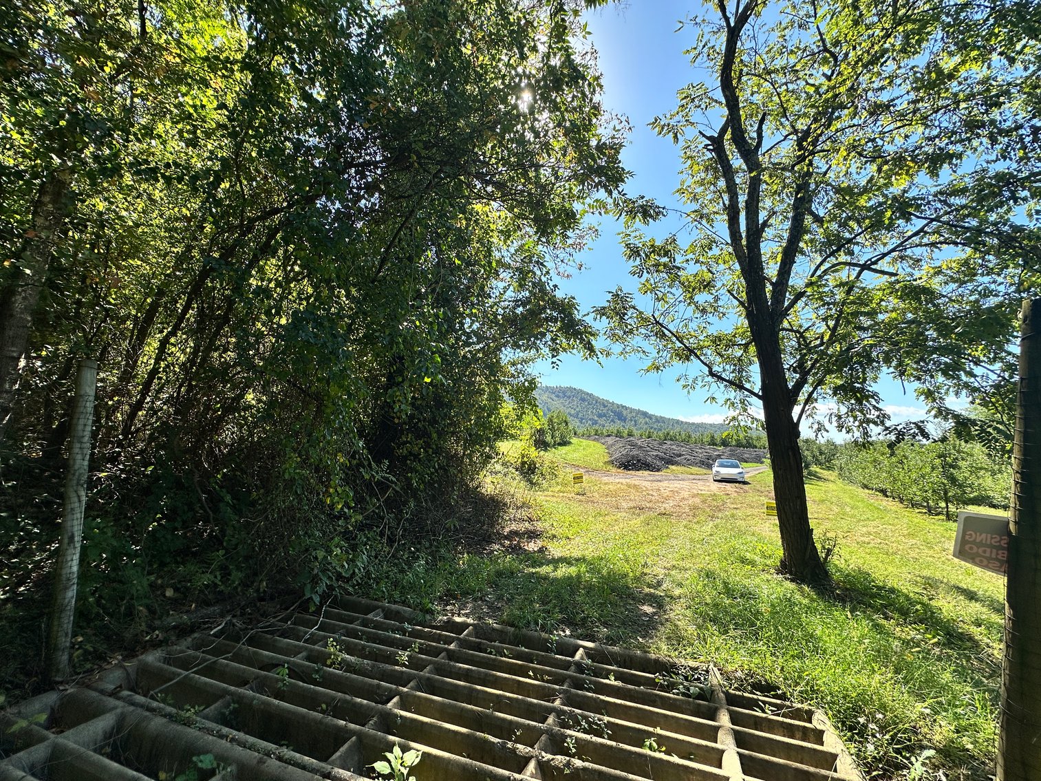 Image for 33.25 Acres with 5 Division Rights in Albemarle County. 5885 Brush Mountain Trl