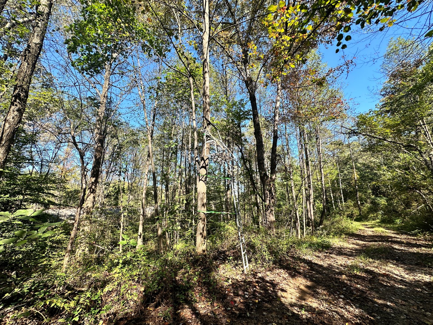 Image for 33.25 Acres with 5 Division Rights in Albemarle County. 5885 Brush Mountain Trl
