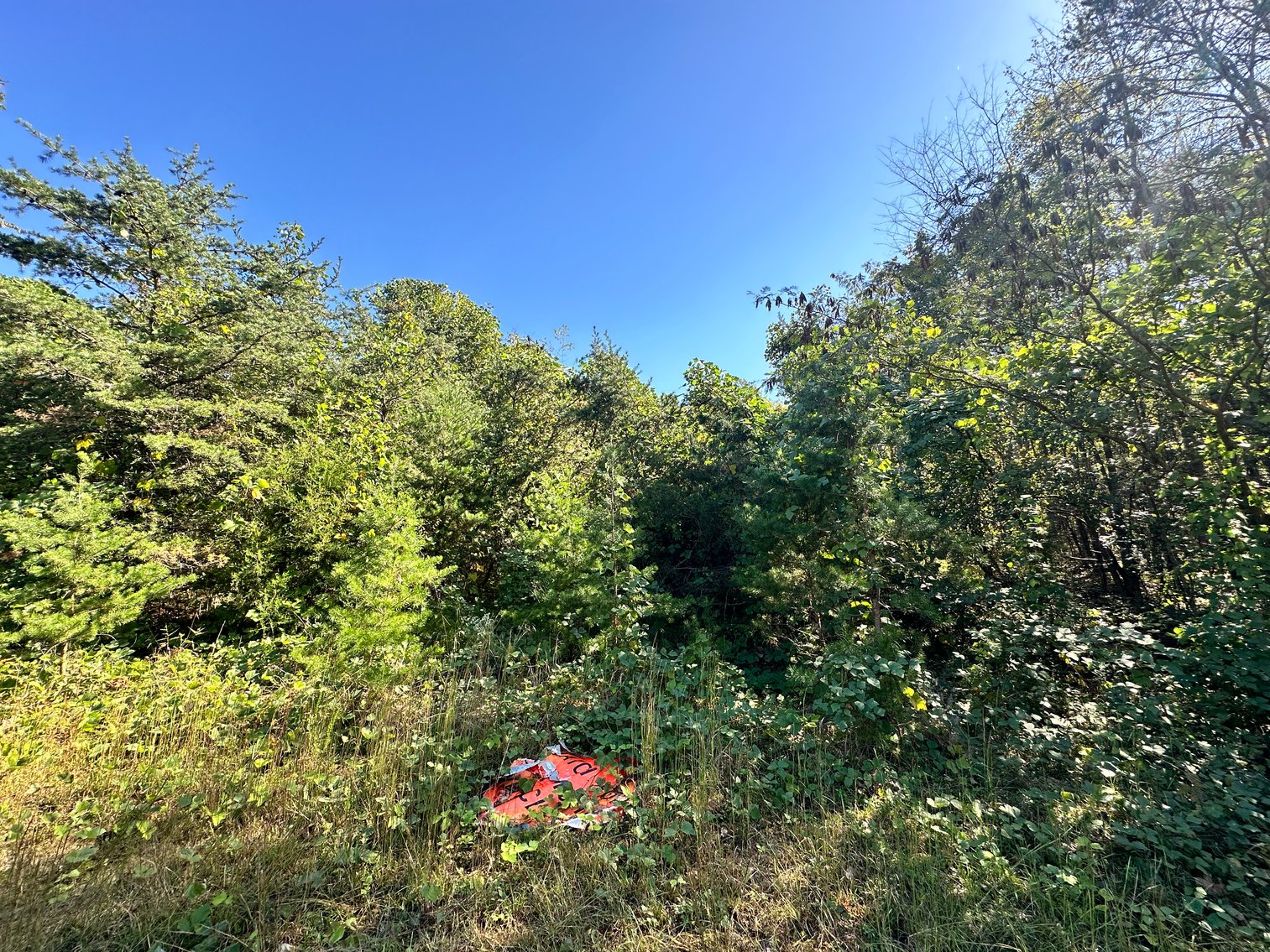 Image for 33.25 Acres with 5 Division Rights in Albemarle County. 5885 Brush Mountain Trl