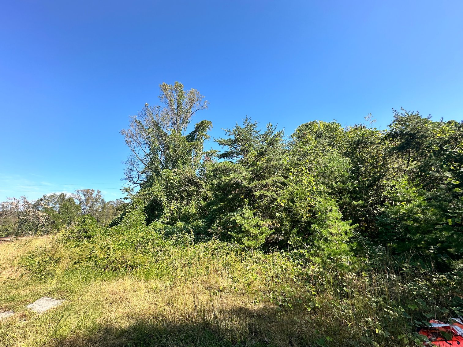 Image for 33.25 Acres with 5 Division Rights in Albemarle County. 5885 Brush Mountain Trl