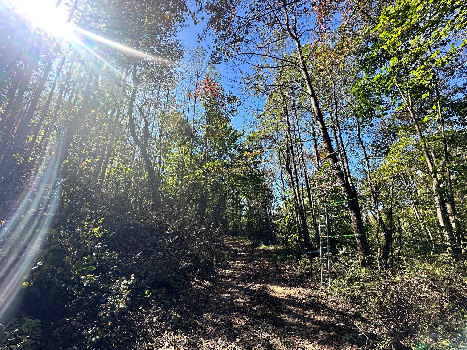 Image for 33.25 Acres with 5 Division Rights in Albemarle County. 5885 Brush Mountain Trl