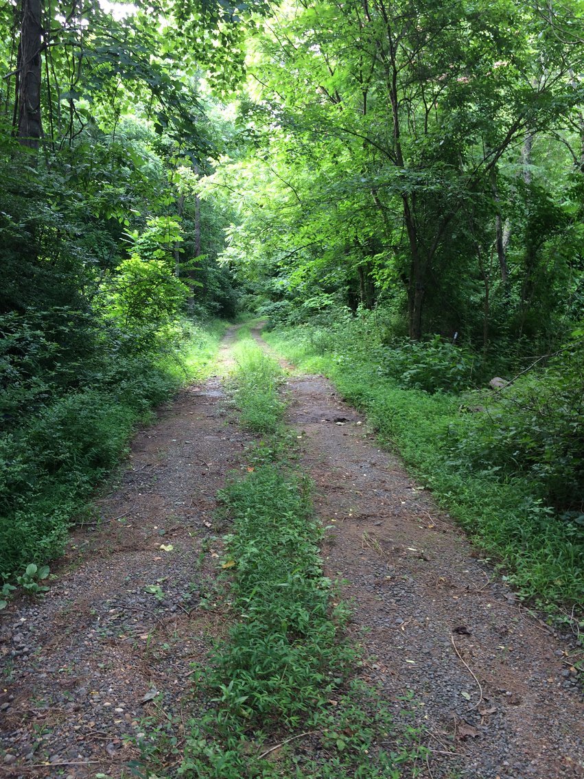 Image for 33.25 Acres with 5 Division Rights in Albemarle County. 5885 Brush Mountain Trl