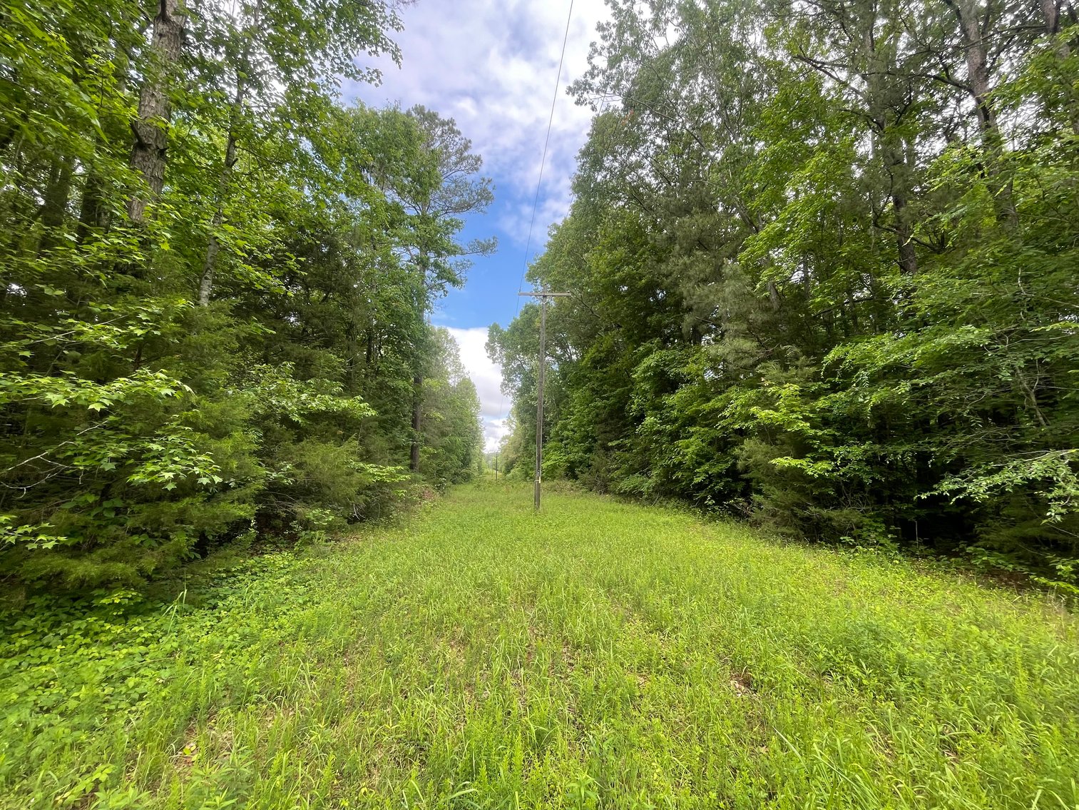 Image for Exceptional 37-Acre Mining Investment Opportunity