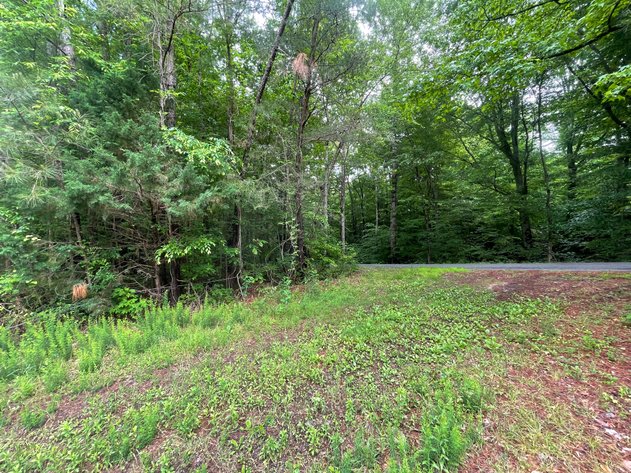 Image for Exceptional 37-Acre Mining Investment Opportunity