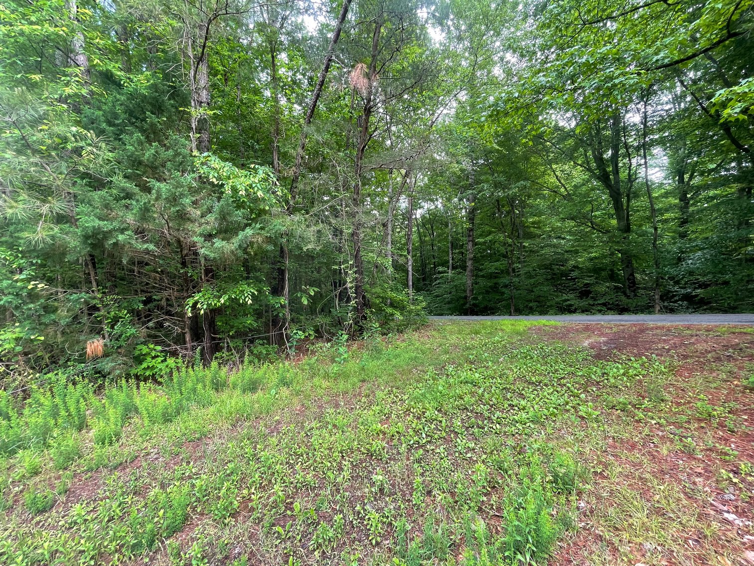 Image for Exceptional 37-Acre Mining Investment Opportunity