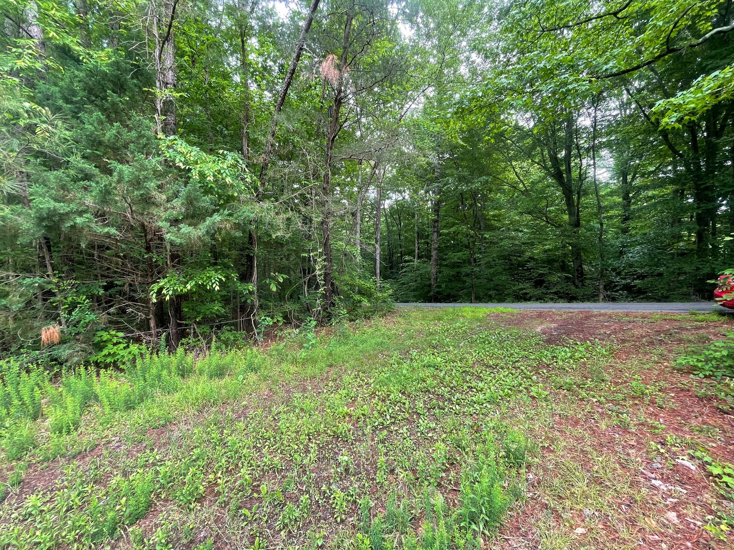 Image for Exceptional 37-Acre Mining Investment Opportunity