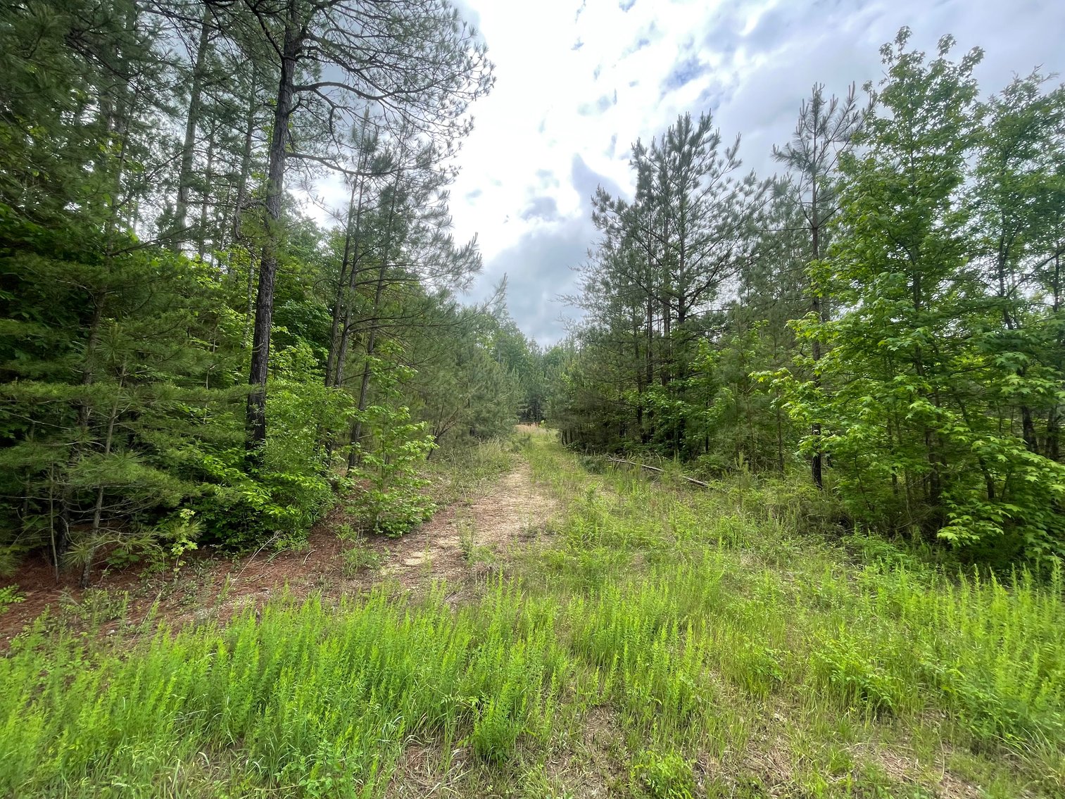 Image for Exceptional 37-Acre Mining Investment Opportunity