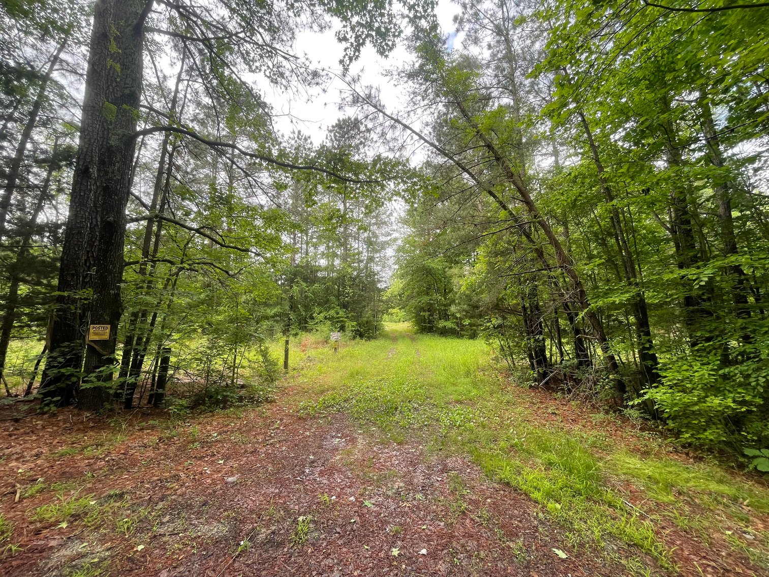 Image for Exceptional 37-Acre Mining Investment Opportunity