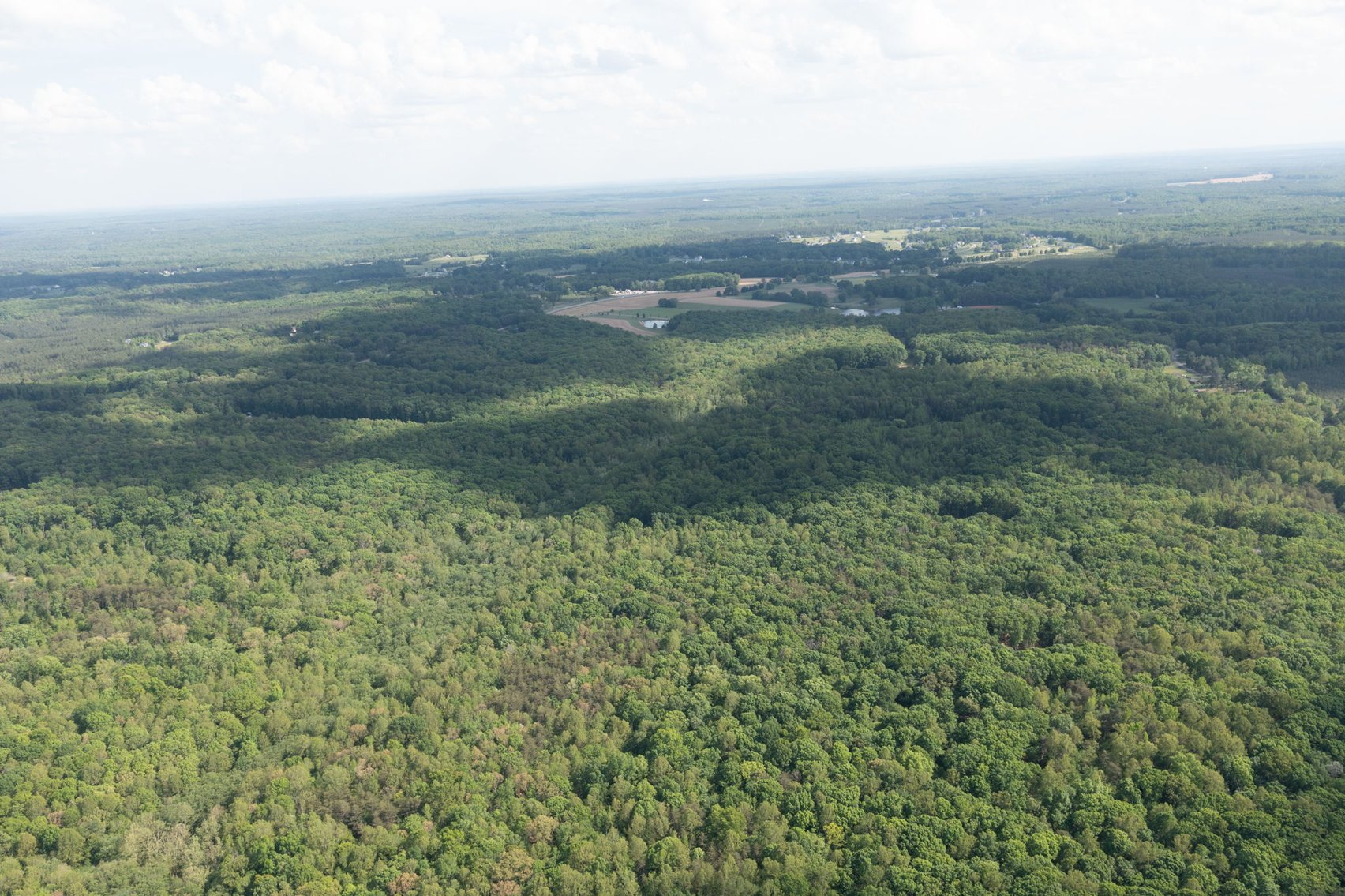 Image for Court Ordered Auction for the Estate of Charles Goode - 37 Acres in Powhatan, VA