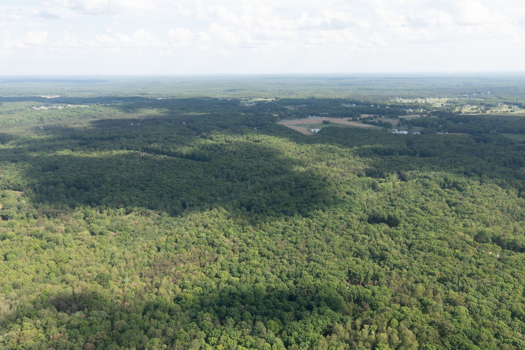 Image for Court Ordered Auction for the Estate of Charles Goode - 37 Acres in Powhatan, VA