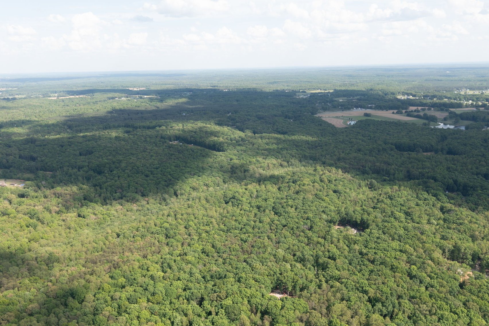 Image for Court Ordered Auction for the Estate of Charles Goode - 37 Acres in Powhatan, VA