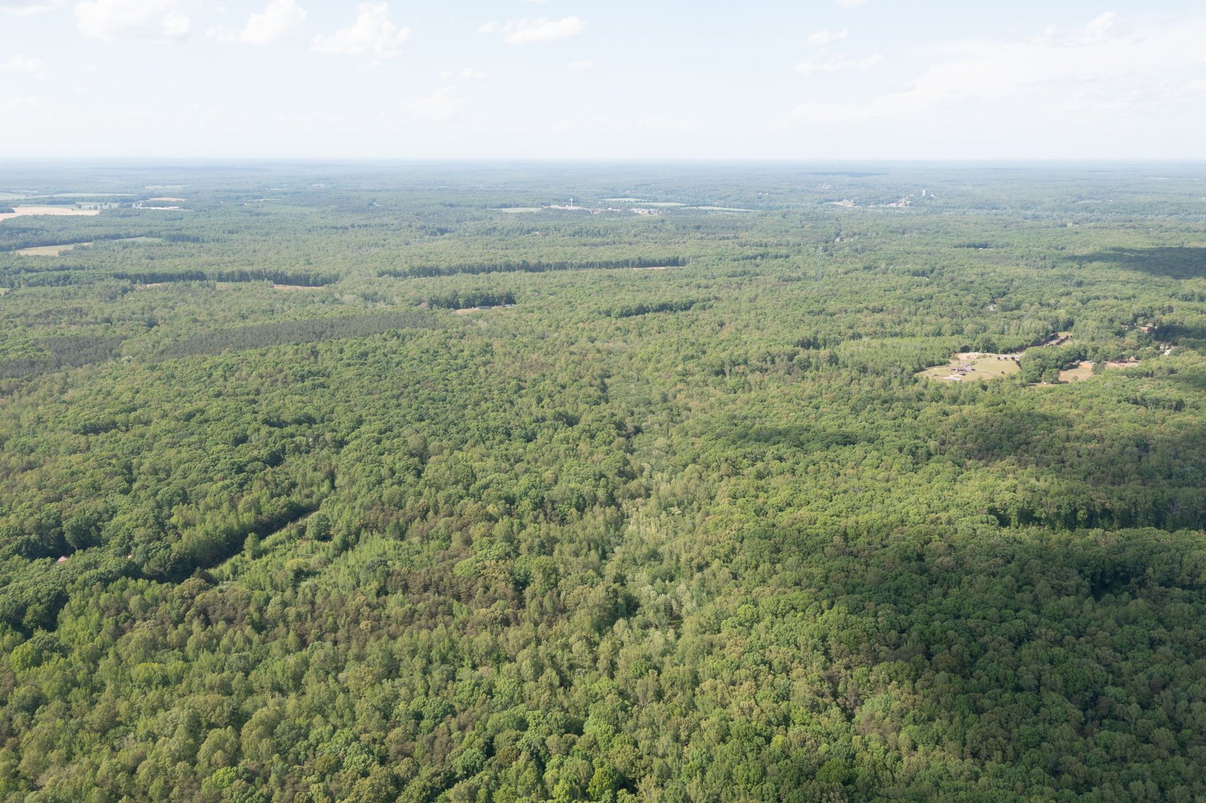 Image for Court Ordered Auction for the Estate of Charles Goode - 37 Acres in Powhatan, VA