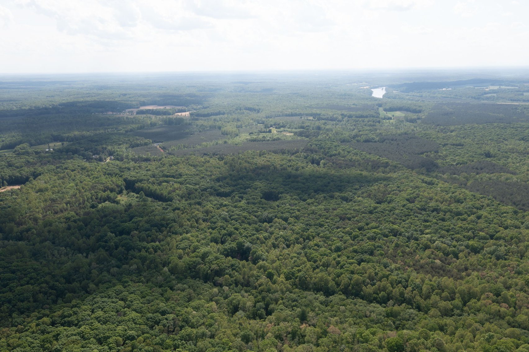 Image for Court Ordered Auction for the Estate of Charles Goode - 37 Acres in Powhatan, VA