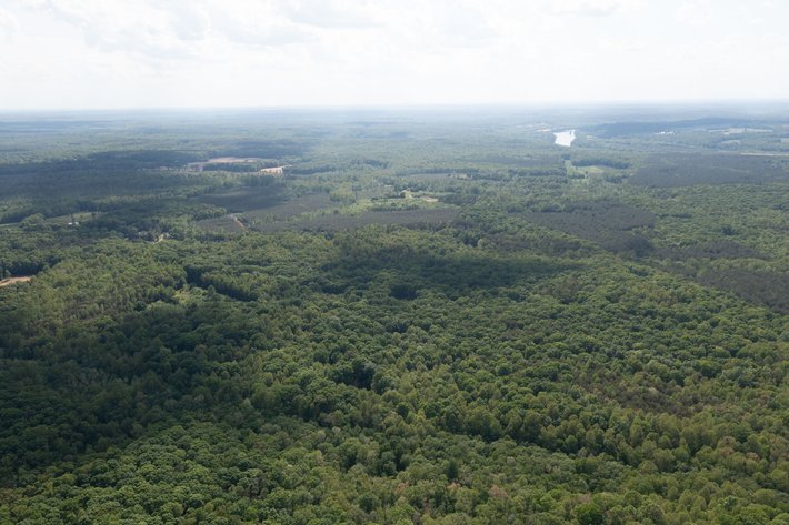 Image for Court Ordered Auction for the Estate of Charles Goode - 37 Acres in Powhatan, VA