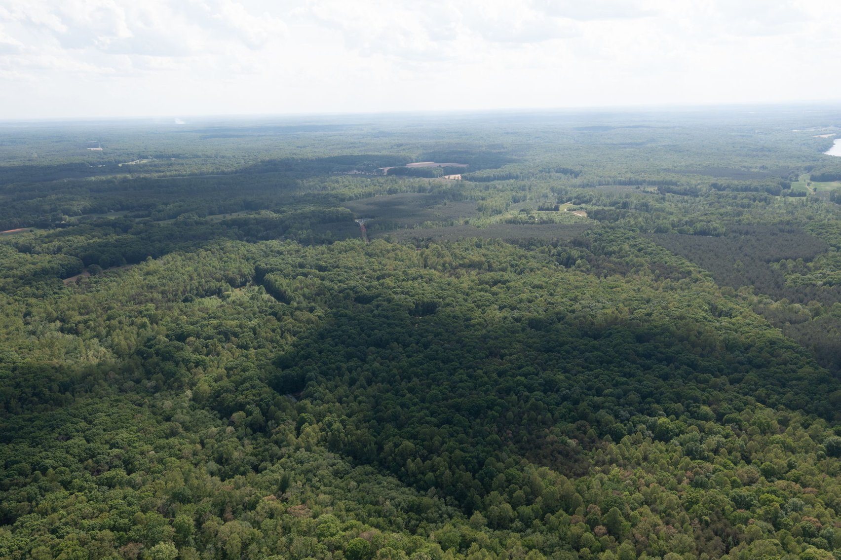 Image for Court Ordered Auction for the Estate of Charles Goode - 37 Acres in Powhatan, VA