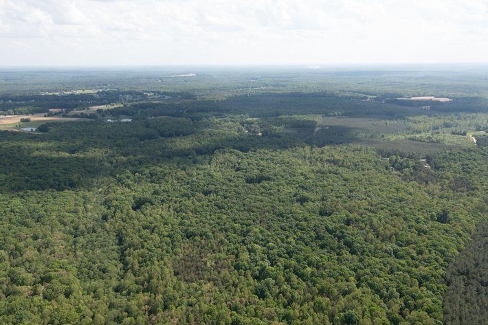 Image for Court Ordered Auction for the Estate of Charles Goode - 37 Acres in Powhatan, VA