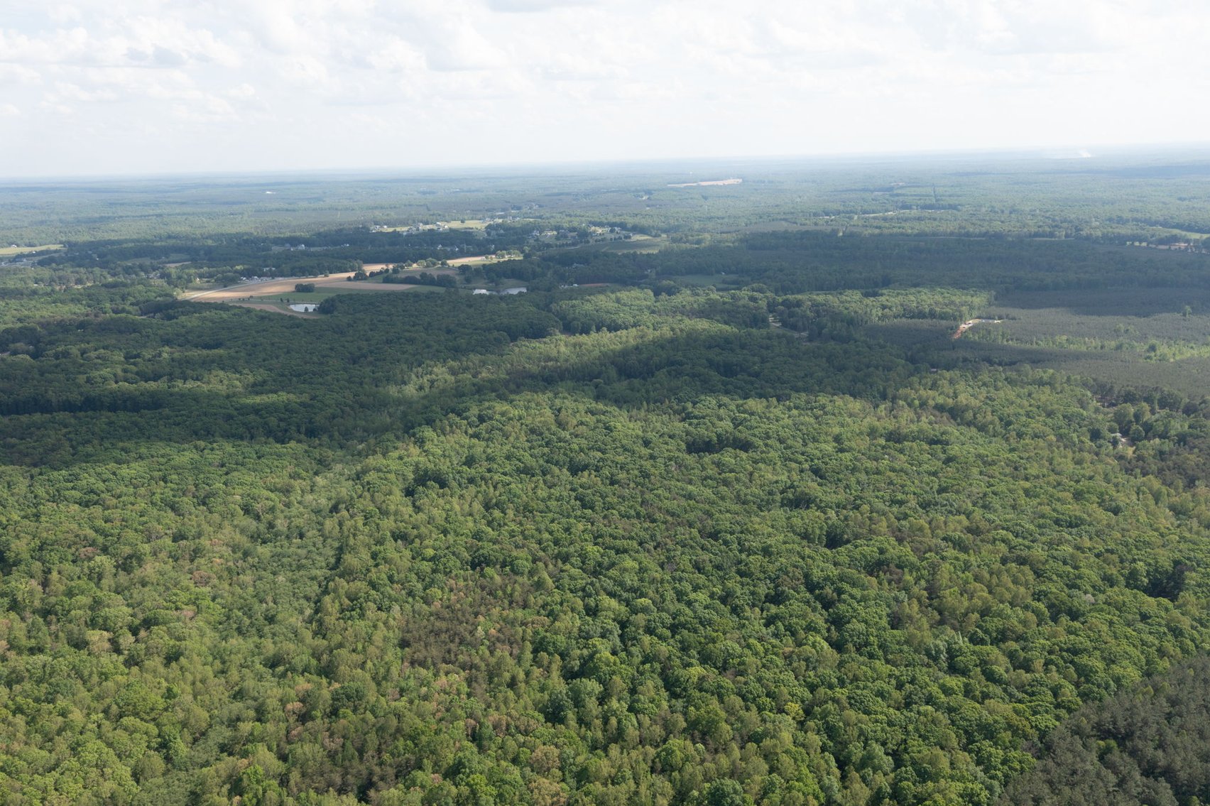 Image for Court Ordered Auction for the Estate of Charles Goode - 37 Acres in Powhatan, VA