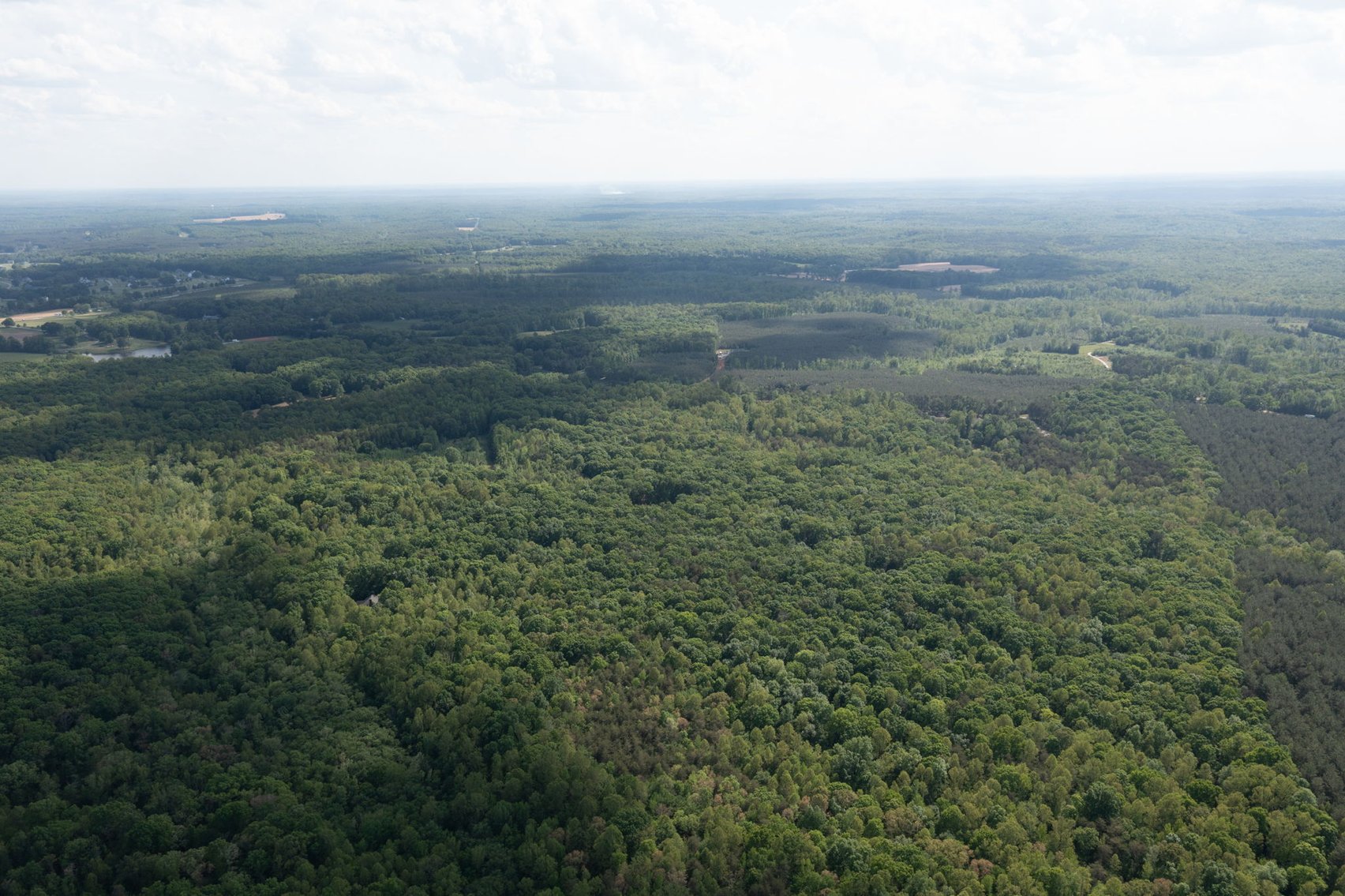 Image for Court Ordered Auction for the Estate of Charles Goode - 37 Acres in Powhatan, VA