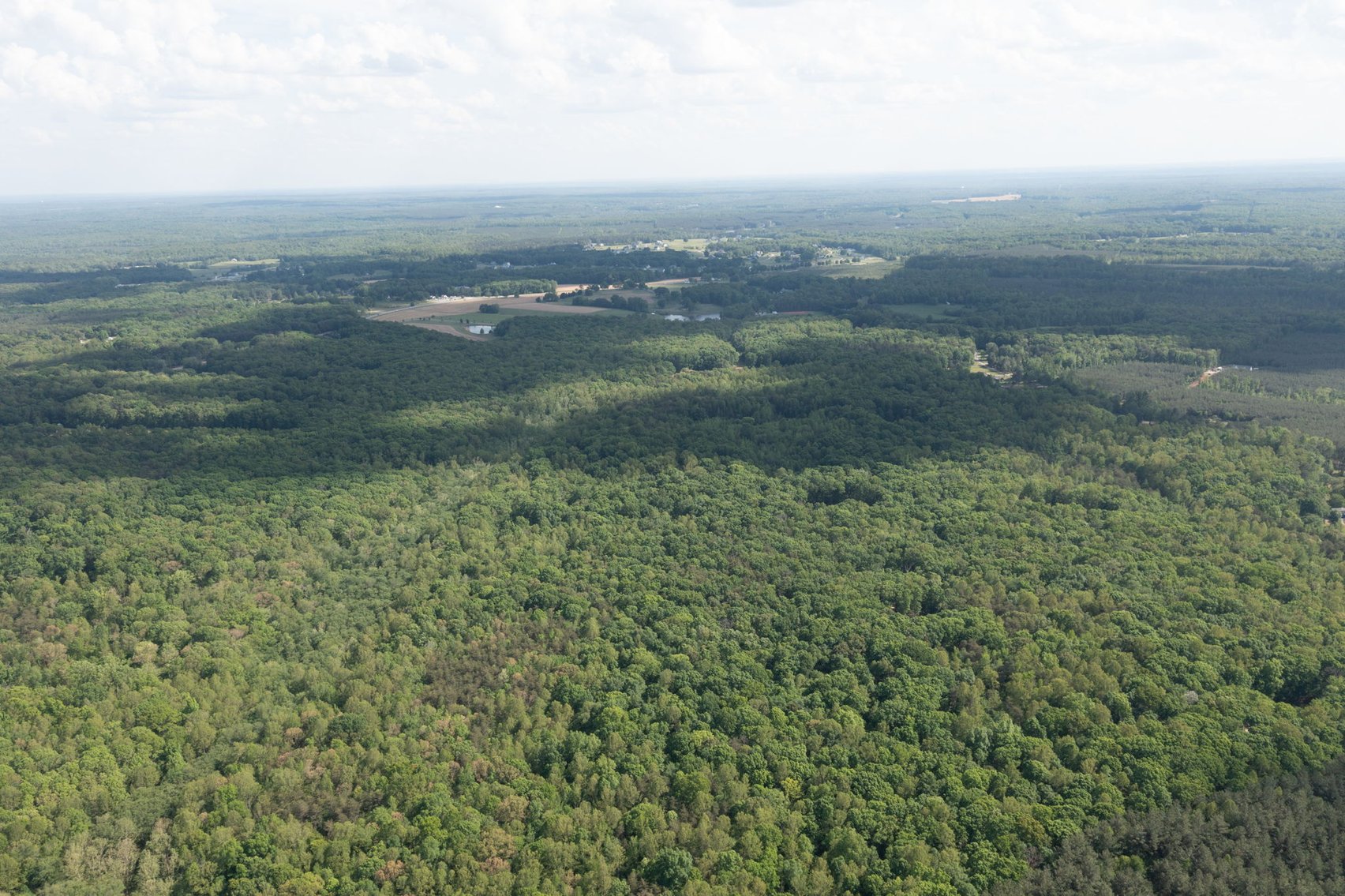 Image for Court Ordered Auction for the Estate of Charles Goode - 37 Acres in Powhatan, VA