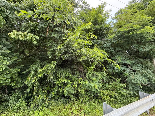 Image for Prime Commercial Lots – City Of Danville Auction