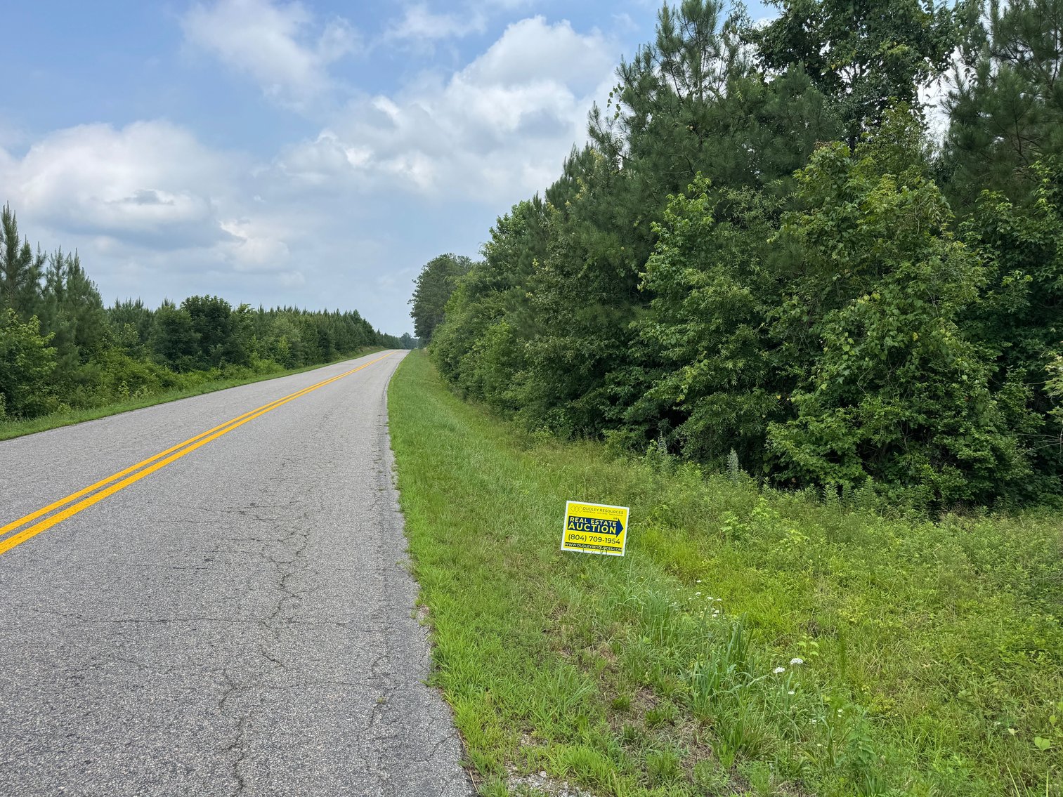Image for Explore the Possibilities: 76.6 Acres of Nature, Privacy, and Opportunity-7175 Beef Steak Rd, Waverly, VA 23890