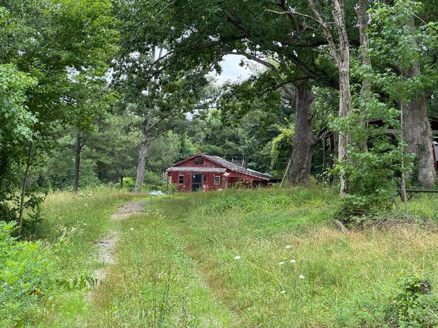 Image for Explore the Possibilities: 76.6 Acres of Nature, Privacy, and Opportunity-7175 Beef Steak Rd, Waverly, VA 23890