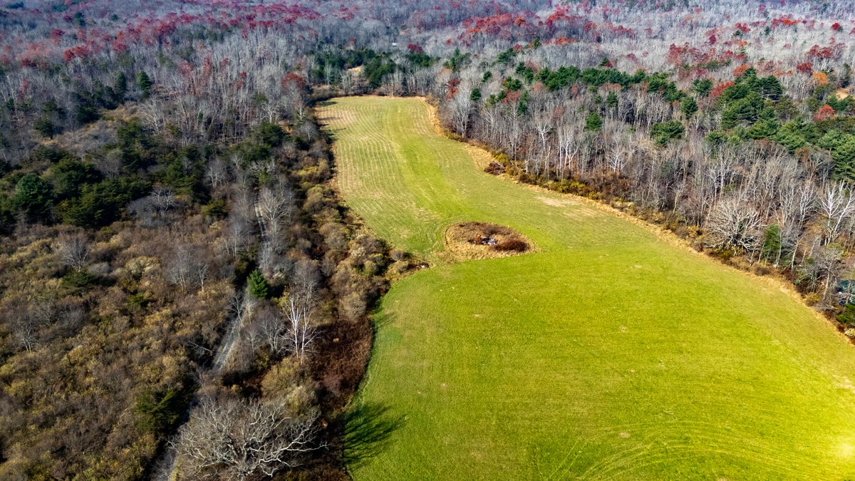 Image for 76.4 Acres of Land for Sale in Monterey, Virginia