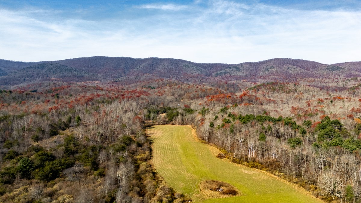 Image for 76.4 Acres of Land for Sale in Monterey, Virginia