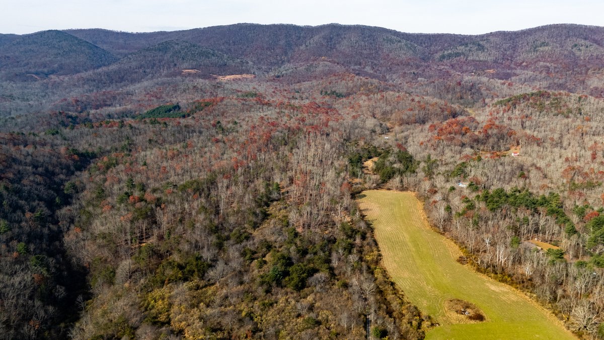 Image for 76.4 Acres of Land for Sale in Monterey, Virginia