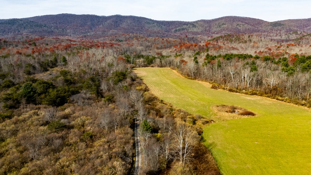 Image for 76.4 Acres of Land for Sale in Monterey, Virginia