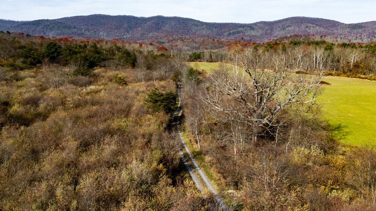 Image for 76.4 Acres of Land for Sale in Monterey, Virginia