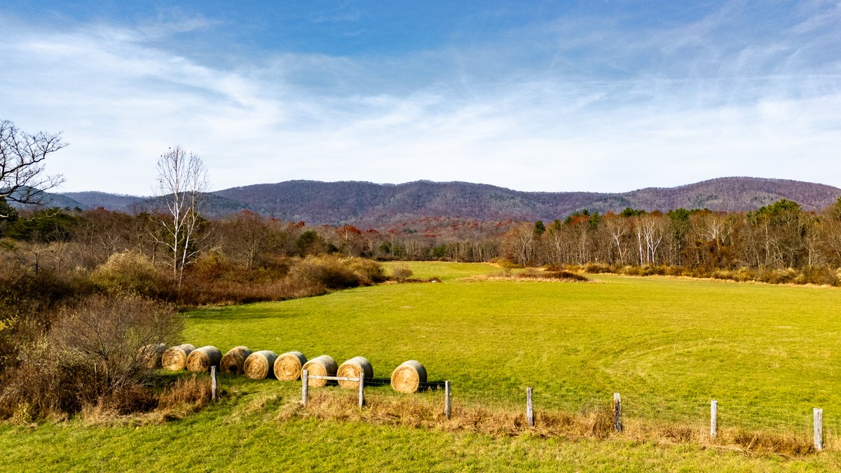 Image for 76.4 Acres of Land for Sale in Monterey, Virginia