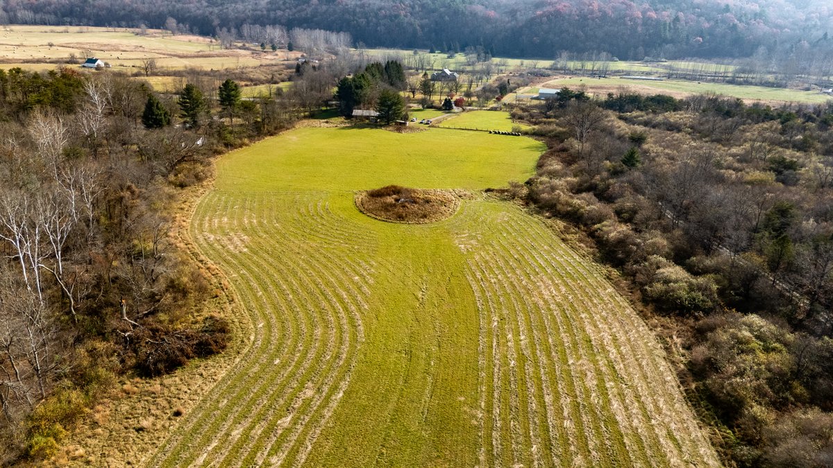 Image for 76.4 Acres of Land for Sale in Monterey, Virginia