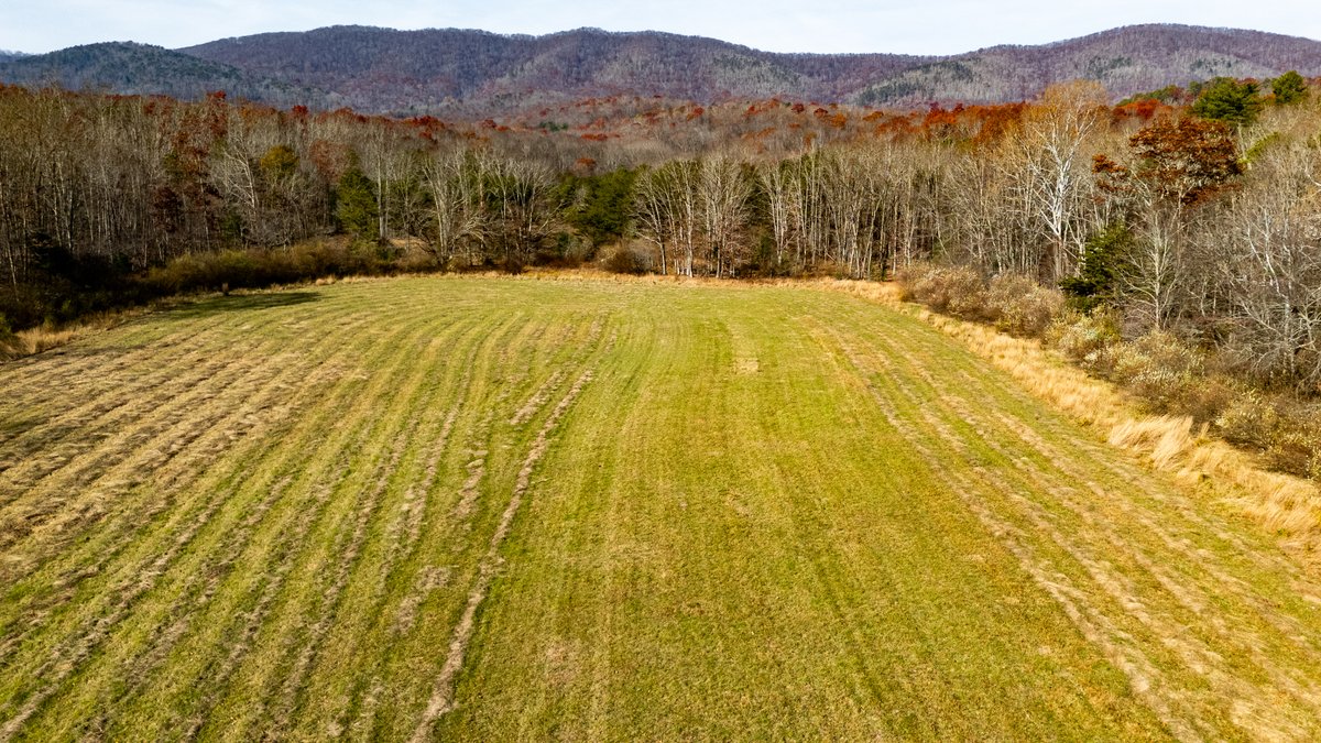 Image for 76.4 Acres of Land for Sale in Monterey, Virginia