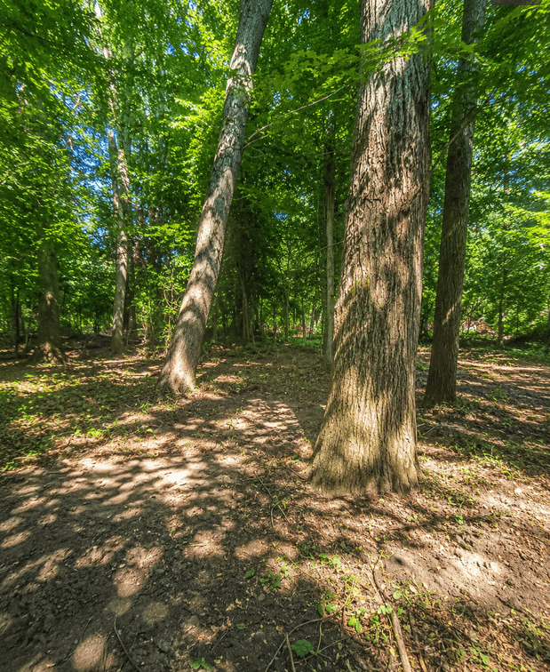 Image for Shovel-Ready Building Lot in Fairfax County — Fully Approved Septic & Well Permits Already Secured