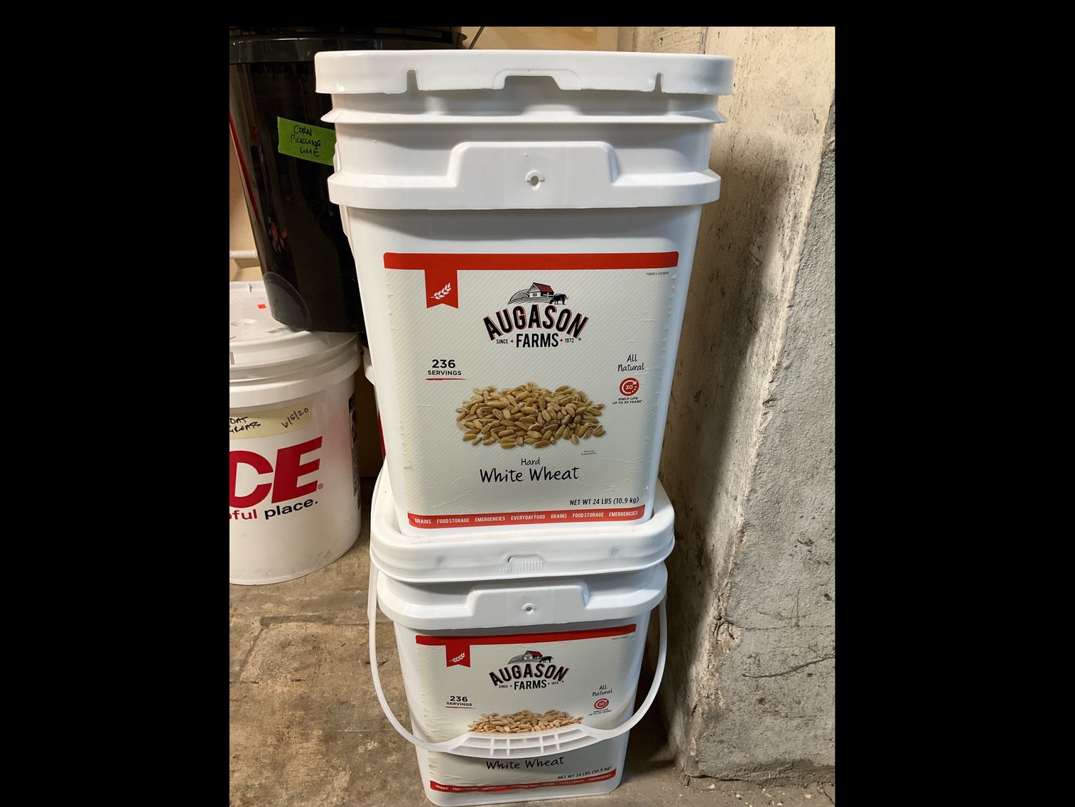 Image for Firearms, Ammo, Musical Instruments (Green Room) - 2/4