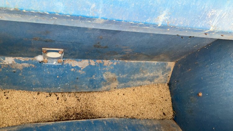 Best Grain Drill