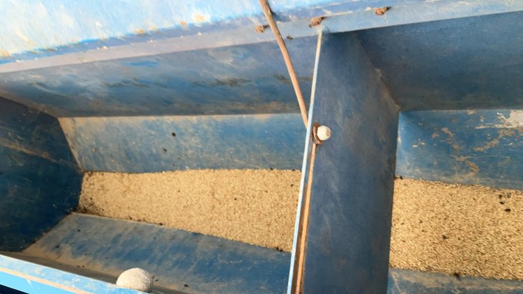 Best Grain Drill