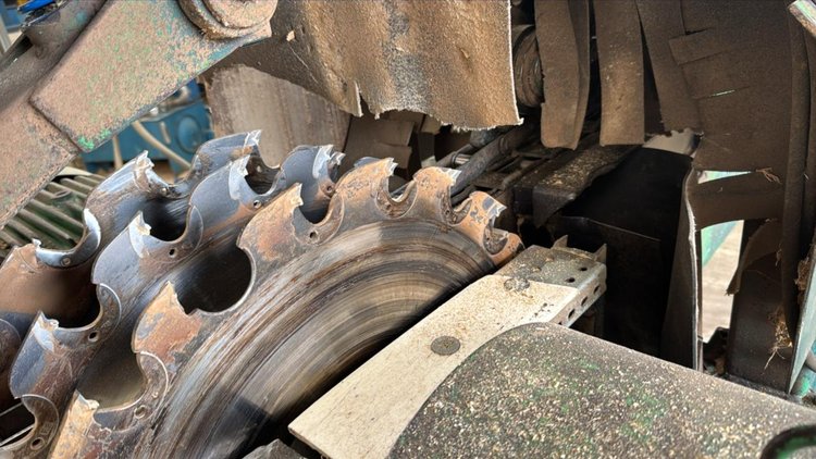 Pendu Slab Edger - County Line Wood Processing