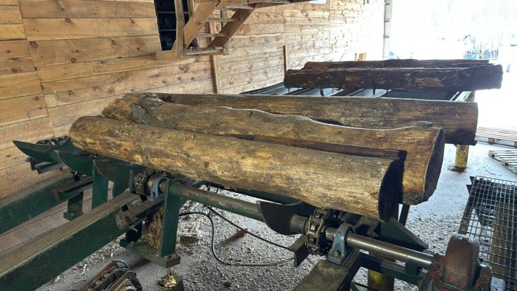 Log Deck - Double M Sawmill