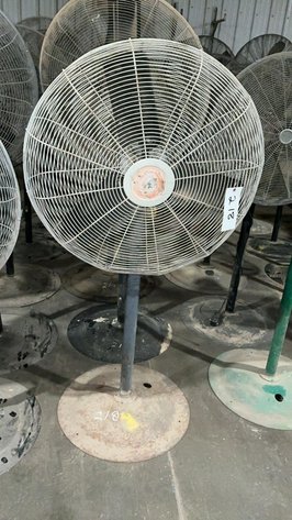 Floor Model Fans