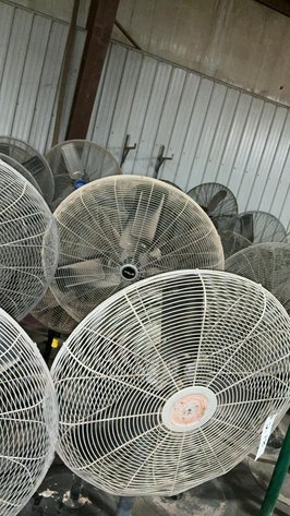 Floor Model Fans