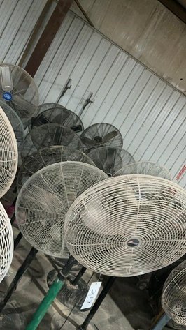 Floor Model Fans