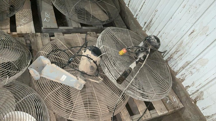 Wall Mount Electric Fans